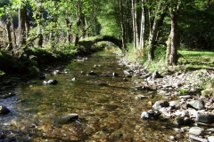 le Ruisseau de Coussane à Estaing