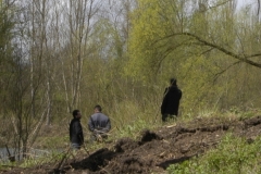 Gestion de la Renouée du Japon (espèce invasive)